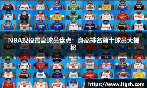 NBA现役最高球员盘点：身高排名前十球员大揭秘